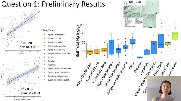 Mercury in the Colorado Rocky Mountains, United States: Storage, Transformation, and Transfer